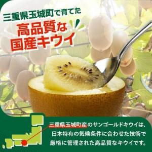 ふるさと納税 【先行予約】2026年度発送 三重県玉城町産 ゼスプリ サンゴールドキウイ 約1kg(贈答用) 三重県玉城町_2