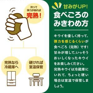 ふるさと納税 【先行予約】2026年度発送 三重県玉城町産 ゼスプリ サンゴールドキウイ 約1kg(贈答用) 三重県玉城町_3