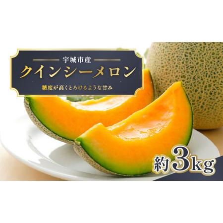 ふるさと納税 [先行予約] クインシーメロン 約3kg メロン めろん くいんしー 赤肉 フルーツ くだもの 熊本 九州産 青肉 人気 おすすめ 甘い 濃.. 熊本県宇城市