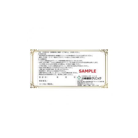ふるさと納税 川崎健診クリニック　健康診断クーポンチケット13,200円分 神奈川県川崎市_1