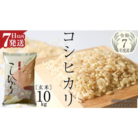 ふるさと納税 ≪ 令和7年度 ≫ コシヒカリ 玄米10kg（10kg×1袋）（茨城