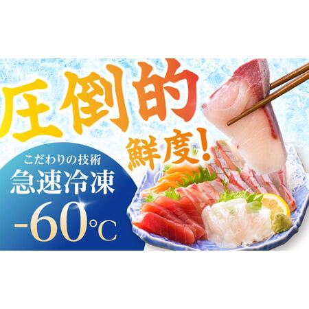 ふるさと納税 【3回定期便】【下処理済】超速冷凍鮮魚6種（5種＋焼物用1種） 五島市/金沢鮮魚[PEP065]魚 鮮魚 鮮魚ボックス 長崎県五島市の画像