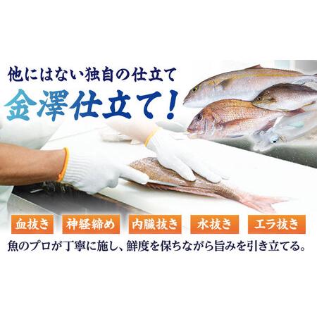 ふるさと納税 【3回定期便】【下処理済】超速冷凍鮮魚6種（5種＋焼物用1種） 五島市/金沢鮮魚[PEP065]魚 鮮魚 鮮魚ボックス 長崎県五島市の画像