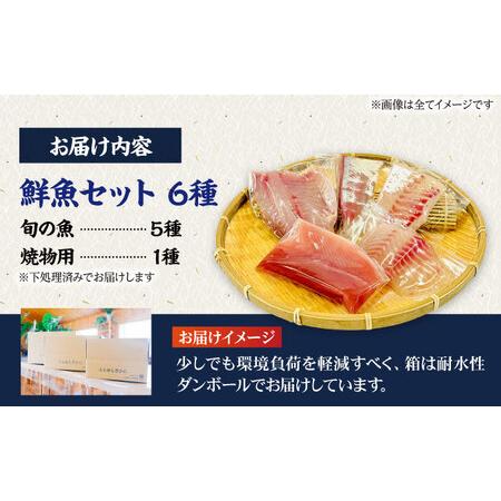 ふるさと納税 【3回定期便】【下処理済】超速冷凍鮮魚6種（5種＋焼物用1種） 五島市/金沢鮮魚[PEP065]魚 鮮魚 鮮魚ボックス 長崎県五島市の画像