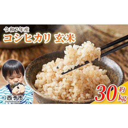 ふるさと納税 新米＜令和7年産 コシヒカリ 玄米 30kg＞ 国産 R7 米