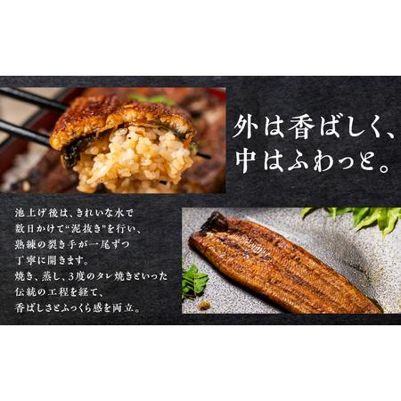 ふるさと納税 うなぎ晴々 紅白 6尾 蒲焼4白焼2 うなぎ 愛知県豊橋市_2