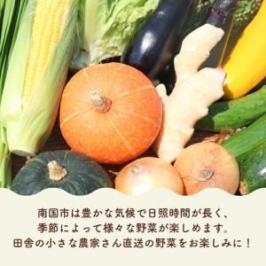 ふるさと納税 【2ヶ月に1回お届け 全6回コース】南国土佐の季節の野菜詰め合せセット | 旬の野菜詰め合わせ 高知県南国市_1