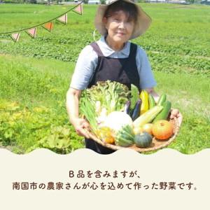 ふるさと納税 【2ヶ月に1回お届け 全6回コース】南国土佐の季節の野菜詰め合せセット | 旬の野菜詰め合わせ 高知県南国市_2