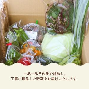 ふるさと納税 【2ヶ月に1回お届け 全6回コース】南国土佐の季節の野菜詰め合せセット | 旬の野菜詰め合わせ 高知県南国市_3