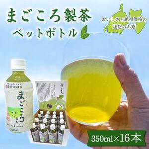 ふるさと納税 まごころ製茶 ペットボトル 350ml 16本 セット お茶 藤枝茶 緑茶 日本茶 飲料 持ち運び 便利 ペットボトル茶 微粉末緑茶 カテキン .. 静岡県藤枝市の画像