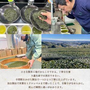 ふるさと納税 まごころ製茶 ペットボトル 350ml 16本 セット お茶 藤枝茶 緑茶 日本茶 飲料 持ち運び 便利 ペットボトル茶 微粉末緑茶 カテキン .. 静岡県藤枝市の画像