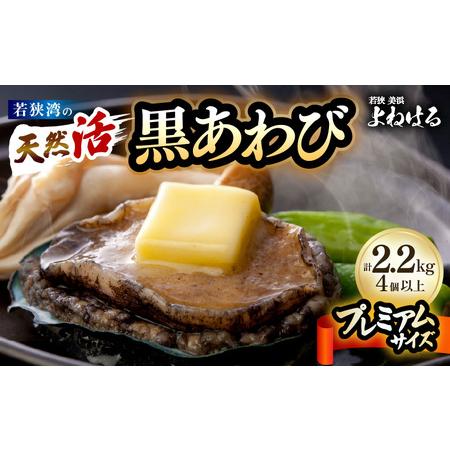 ふるさと納税 [先行予約]黒あわび プレミアムサイズ 計2.2kg(4個以上)[2026年11月中旬以降順次発送予定][数量限定]入手困難 天然 活あわ.. 福井県美浜町