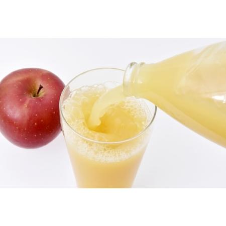 ふるさと納税 有機肥料栽培 リンゴ ジュース 1L×6本|りんごジュース 飲料 フルーツ 林檎 果物 甘い さっぱり ジュース[012-24] 長野県伊那市