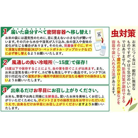 ふるさと納税 12ヶ月定期便 ひごみのり 白米 5kg 訳あり 熊本県氷川町_4