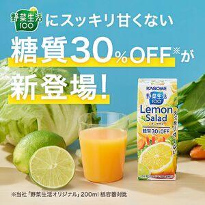 ふるさと納税 【定期便6ヶ月連続お届け】カゴメ 野菜生活100 レモンサラダ 200ml 24本 野菜ジュース 果実ミックスジュース 紙パック 長野県富士見町_1