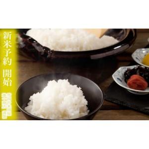 ふるさと納税 【令和8年産 新米予約】定期便★２kg×6ヶ月 生産者限定 南魚沼しおざわ産コシヒカリ【2026年10月上旬から1ヶ月以内に順次.. 新潟県南魚沼市の画像