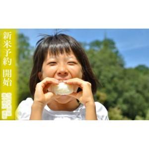 ふるさと納税 【令和8年産 新米予約】定期便★２kg×6ヶ月 生産者限定 南魚沼しおざわ産コシヒカリ【2026年10月上旬から1ヶ月以内に順次.. 新潟県南魚沼市の画像