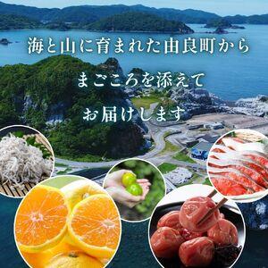 ふるさと納税 【ふるさとギフト】 あとからセレクト 【4万円】/ 選べる金額 みかん まぐろ 梅干し 梅酒 牛肉 しらす こめ油 海鮮 柑橘 フルー.. 和歌山県由良町_1