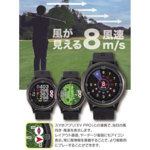 ふるさと納税 ゴルフグッズ EAGLE VISION ACE PRO BK ゴルフ 兵庫県