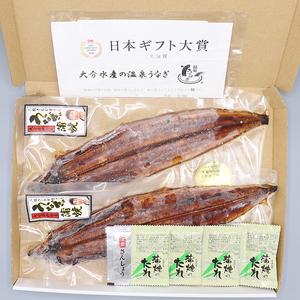 ふるさと納税 ＜定期便(毎月)全3回＞温泉うなぎ蒲焼 2尾（160gサイズ） 国産 九州 自宅用 エコ包装 うな丼 うな重 鰻 完全無投薬 ＜104-803＞ 大分県杵築市_1