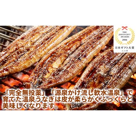 ふるさと納税 ＜定期便(毎月)全3回＞温泉うなぎ蒲焼 2尾（160gサイズ） 国産 九州 自宅用 エコ包装 うな丼 うな重 鰻 完全無投薬 ＜104-803＞ 大分県杵築市_2