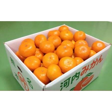 ふるさと納税 叶果樹園 みかん 家庭用 約4kg(S〜Lサイズ混合40〜60個) ミカン フルーツ 果物 くだもの サイズ混合 常温 国産 [2026年10月下旬.. 熊本県熊本市