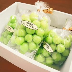 ふるさと納税 【2026年先行予約】【定期便3回】シャインマスカット 約2kg×3回 (2026年10月/11月/12月発送)| シャインマスカット 長野県千曲市_1