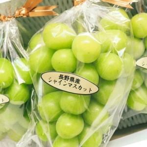 ふるさと納税 【2026年先行予約】【定期便3回】シャインマスカット 約2kg×3回 (2026年10月/11月/12月発送)| シャインマスカット 長野県千曲市_2