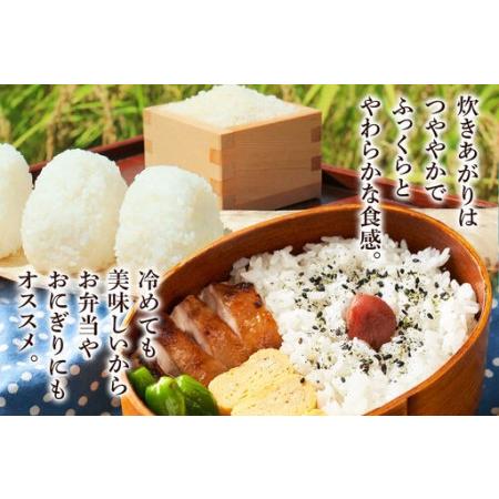 ふるさと納税 《令和7年産》《定期便5ヶ月》 米 あきたこまち 5kg 【玄米】 秋田県産 秋田県秋田市