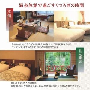 ふるさと納税 能勢温泉 施設利用クーポン券 30,000円分（1,000円券×30枚） | 温泉 天然温泉 宿泊 施設 ロッジ キャンプ場 テニスコート 自.. 大阪府能勢町_3