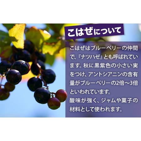 ふるさと納税 こはぜ酢 200ml×3本（上小阿仁村産こはぜ使用）果実酢 フルーツ お酢 秋田県上小阿仁村の画像