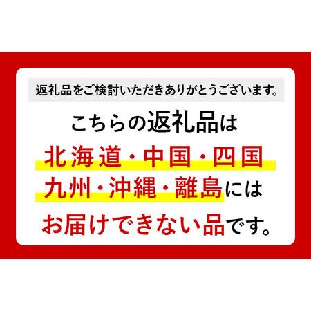 ふるさと納税 水 《定期便6ヶ月》国産 ミネラルウォーター ピュアの森 500ml 24本×1箱 天然水 軟水 ペットボトル ラベルあり 群馬県板倉町の画像