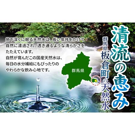 ふるさと納税 水 《定期便6ヶ月》国産 ミネラルウォーター ピュアの森 500ml 24本×1箱 天然水 軟水 ペットボトル ラベルあり 群馬県板倉町の画像