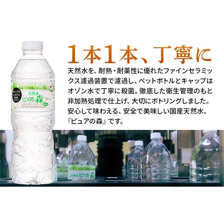 ふるさと納税 水 《定期便6ヶ月》国産 ミネラルウォーター ピュアの森 500ml 24本×1箱 天然水 軟水 ペットボトル ラベルあり 群馬県板倉町の画像