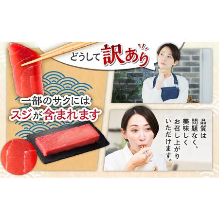 ふるさと納税 【 全6回 定期便 】老舗 三崎 まぐろ 問屋 から 直送 ！ 天然マグロ 赤身 1kg を お届け M063-T11 【 訳あり 】 冷凍 マグロ 定.. 神奈川県三浦市の画像