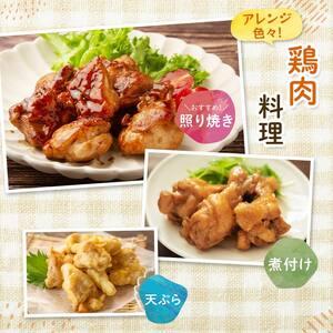 ふるさと納税 【定期便・6回】産地直送！恵那どり お試し4種8パックセット 小分け 真空パック 大容量 セット 鶏肉 F4N-2469 岐阜県中津川市の画像
