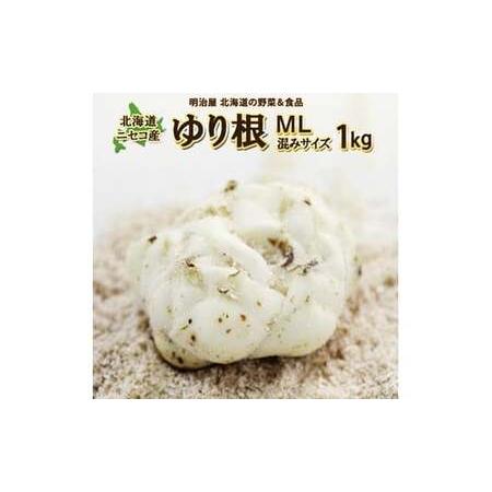 ふるさと納税 北海道ニセコ町 ゆり根M-L混みサイズ1kg[2025年産][3200301] 北海道ニセコ町