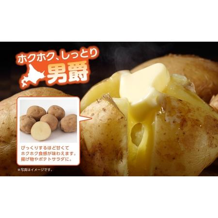 ふるさと納税 北海道産 訳あり じゃがいも 男爵 メークイン M 2L 各約10kg 計約20kg ジャガイモ 馬鈴薯 ポテト 芋 いも イモ 旬 冬 農作物 規 北海道幌加内町予約 北海道産 訳あり 新じゃが じゃがいも 10kg 品種お任せ サイズはMサイズ以上 ジャガイモ 馬鈴薯 自宅