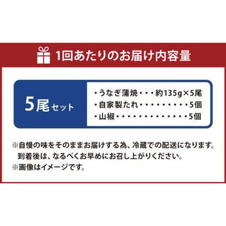 ふるさと納税 【3ヶ月定期便】 蒲焼きうなぎ 5尾 （国産） ／ 鰻 うなぎ ウナギ 蒲焼き 蒲焼 うなぎの蒲焼 鰻の蒲焼き たれ付き 自家製たれ 山椒.. 茨城県神栖市_1