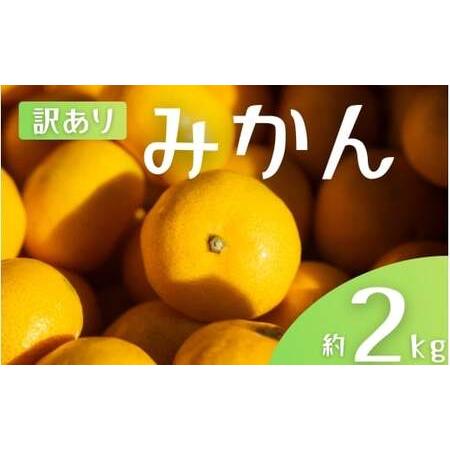 和歌山県下津町　麗江みかん　訳あり　20kg（10kg✖️2ケース） みかん ”和歌山みかん” 訳あり LLサイズ 約10kg【予約 11月末以降