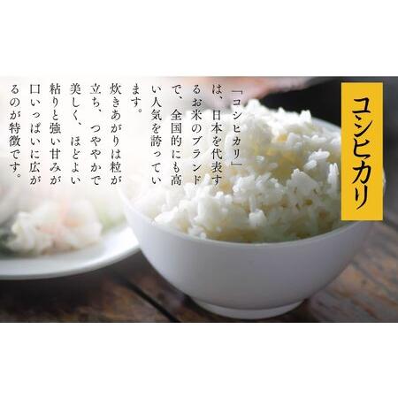 ふるさと納税 令和7年産《2025年10月下旬以降順次発送》「コシヒカリ 