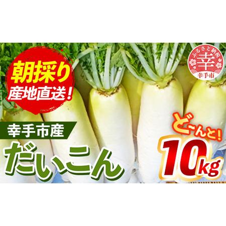 ふるさと納税 [きあり農園]2026年度 幸手市産 大根 10kg - 朝採れ ダイコン だいこん 産地直送 野菜 ベジタブル 美味しい おいしい 煮物 鍋 お.. 埼玉県幸手市