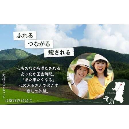 ふるさと納税 農家民宿をもっと満喫！プラチナプラン 【350P8405】 秋田県大館市の画像