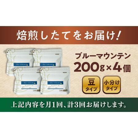 ふるさと納税 【全3回定期便】ブルーマウンテンNo.1 コーヒー豆 200g×4個 (豆)  / コーヒー  ドリップ  豆 / Coffee SAKURA[BBAB083] 愛知県瀬戸市の画像