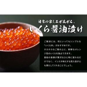 ふるさと納税 いくら 醤油漬け 200g×1P 北海道 秋鮭卵 冷凍 尾張まるはち 愛知県名古屋市の画像