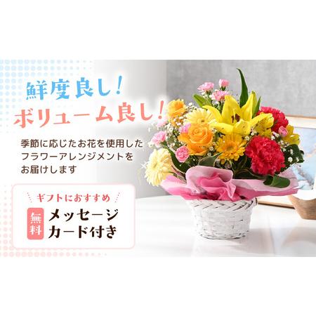 ふるさと納税 定期便 ≪12ヶ月年代順の継続お届け≫ 選べる色合い 時季のお花申し合わせ M (黄色・オレンジ色) 【御花 お花 アレジメント .. 福井県坂井市