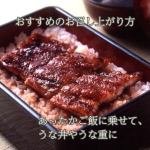 ふるさと納税 定期便6回【B-826】近江今津 西友 うなぎ炭火焼蒲焼 4尾／計約500ｇ・きも吸詰合せC［高島屋選定品］ 滋賀県高島市_3