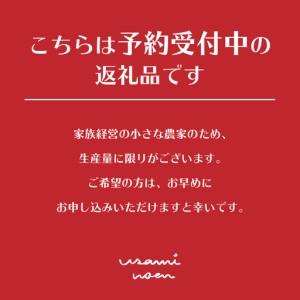 ふるさと納税 【2026年予約】極旨トマトクール便 北海道壮瞥町産 スイート1kg 中玉トマト SBTAJ016 北海道壮瞥町_1