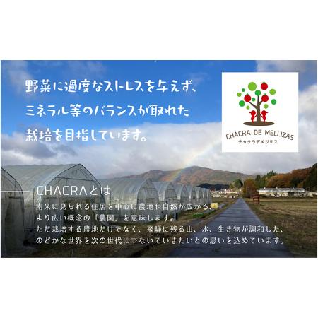 ふるさと納税 《先行予約》サイズ 不揃い トマト 1.7kg  訳あり トマト[ Q1824wx_26] 岐阜県飛騨市_1