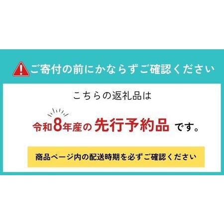 ふるさと納税 《先行予約》サイズ 不揃い トマト 1.7kg  訳あり トマト[ Q1824wx_26] 岐阜県飛騨市_2